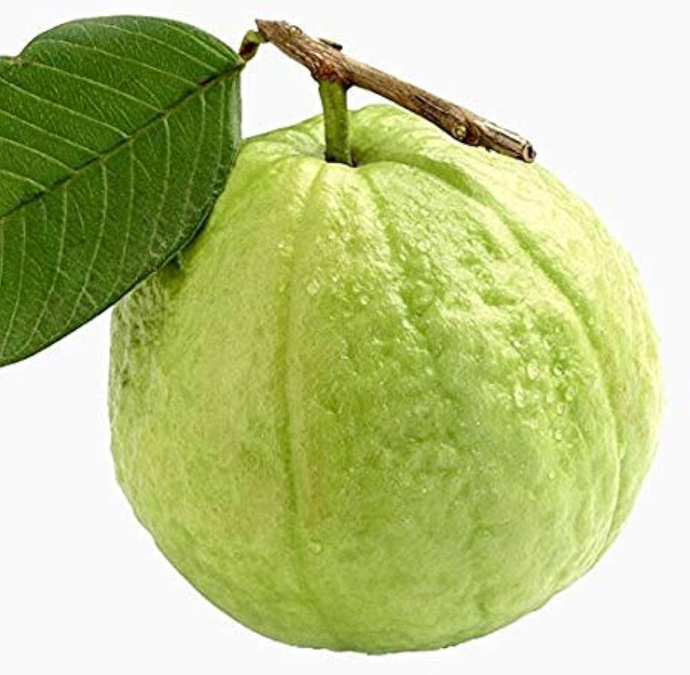 Guava (अमरूद). 500g.