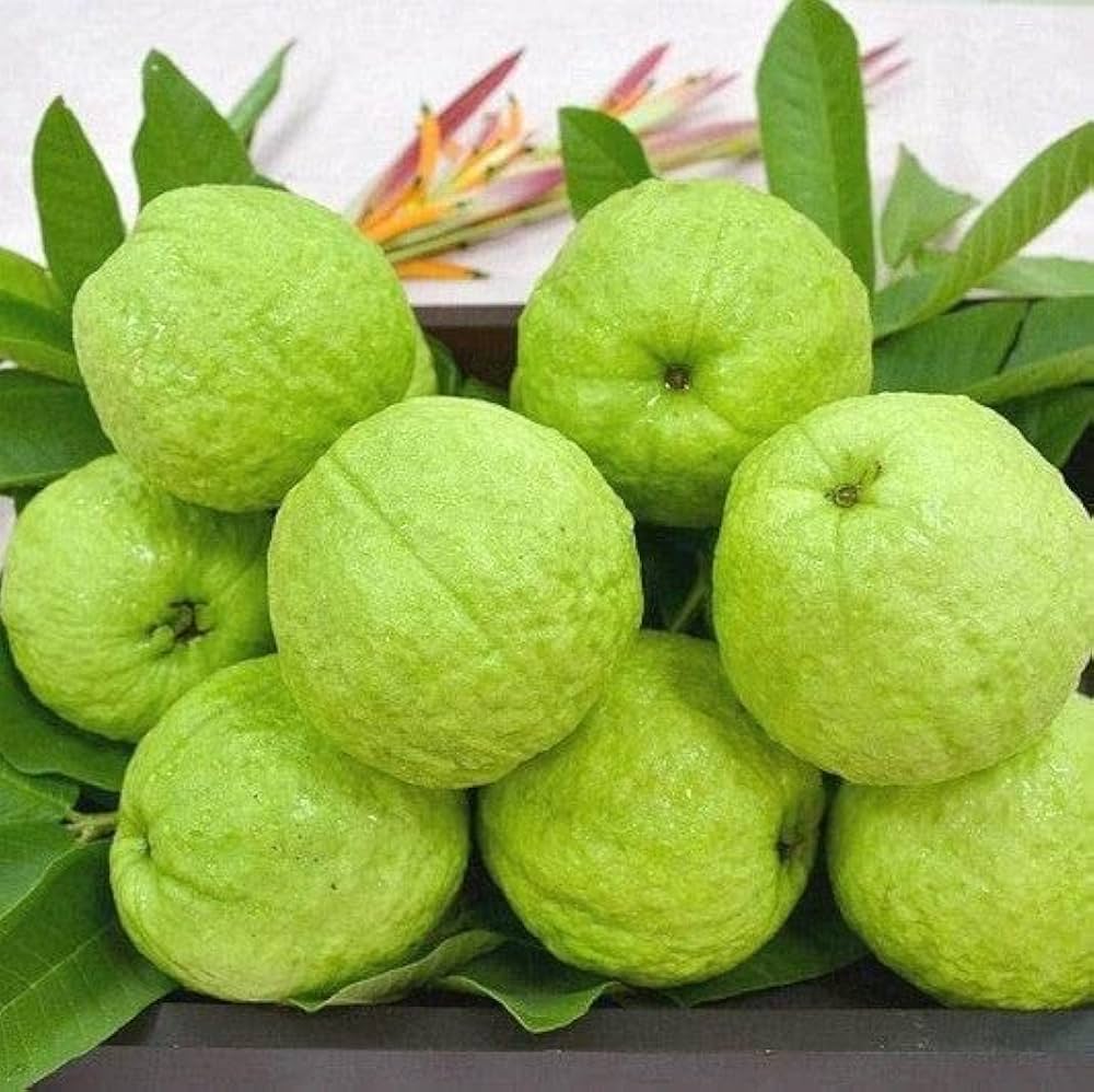 Guava (अमरूद). 500g.