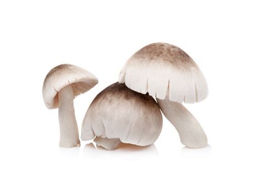 Straw Mushroom. 250g.