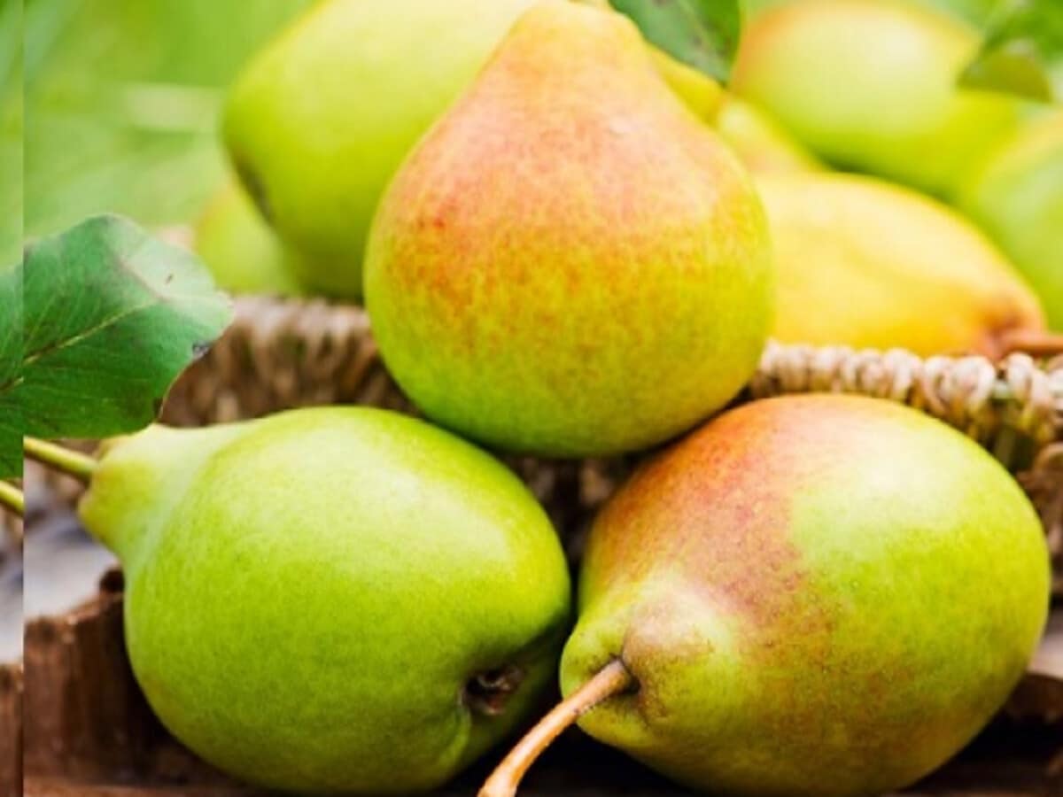 Pear (नाशपाती). 250g.