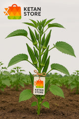 .Lady Finger (Bhindi)    250g