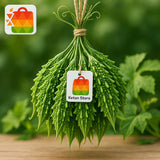 .Bitter Gourd (Karela)     250g