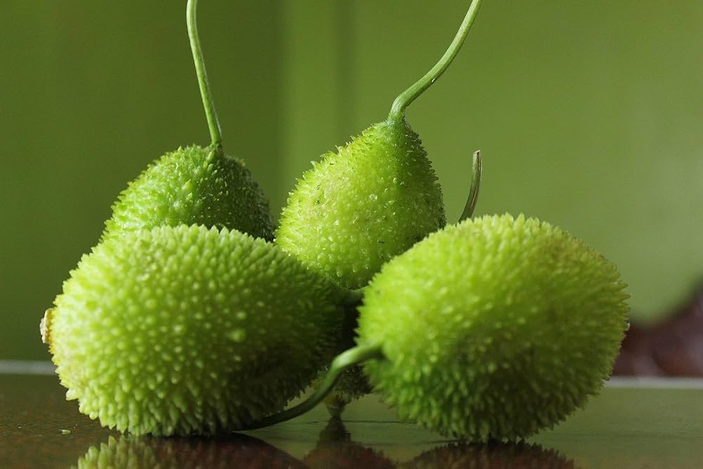 Spine Gourd (Kheksha).   250g.