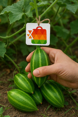 .Pointed Gourd (Parwal)   250g