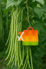 .Yardlong bean (Barbatti)   250g