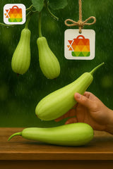 .Bottle Gourd (Lauki)   1 pic.