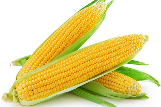 Corn (भुट्टा).   500g