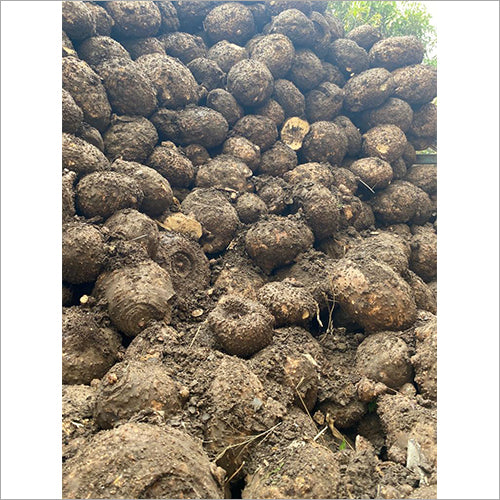 .Elephant-foot yam (जिमीकंद). 500g.
