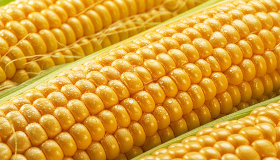 Corn (भुट्टा).   500g