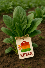 ..Spinach (Palak bhaji).   500g