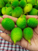 Spine Gourd (Kheksha).   250g.