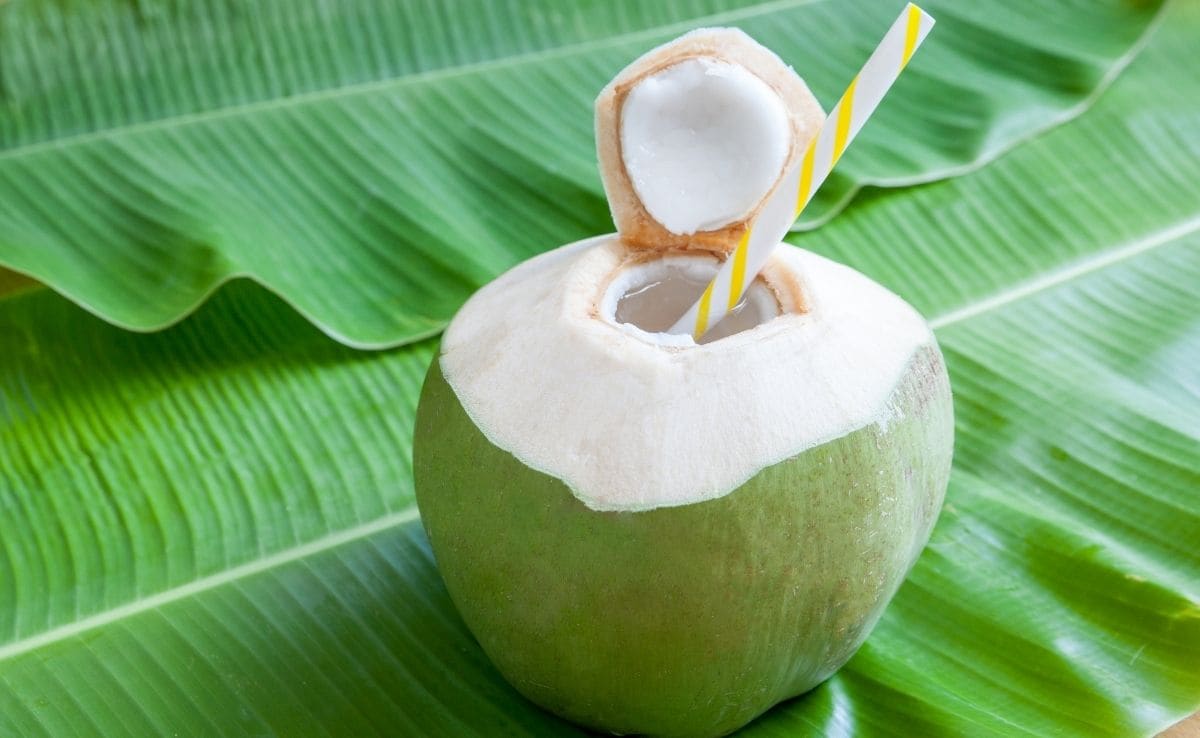 Coconut (नारियल) 1 pics.