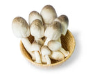Straw Mushroom.     250g.