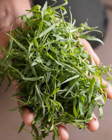 .Tivra Bhaji.     250g.