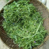 .Tivra Bhaji.     250g.